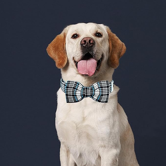 Lionheart glory Dog Bow Collar Blue and Black Plaid Dog Collar for Medium Dogs,Boy Dog Collars with Bowtie Spring Summer Collars Soft Adjustable Pet Collar Bows