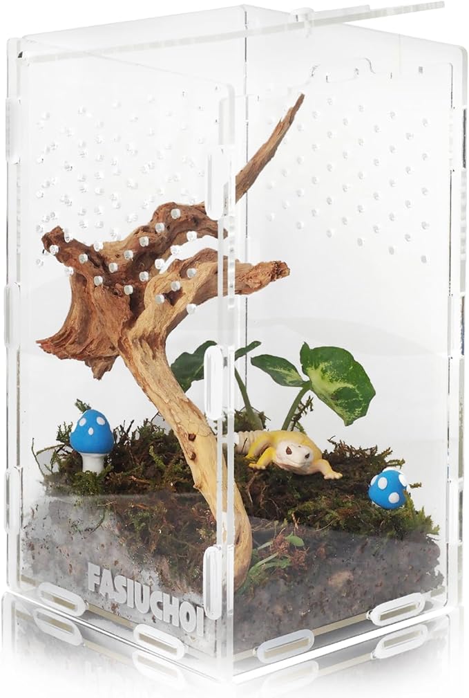 Small Acrylic Terrarium 4.7x4.7x7.8 inch, Transparent Reptile Enclosure Habitat with Ventilation, Mini Tank for Small Hermit Crab, Juvenile Gecko, Baby Lizard, Praying Mantis, Critters, Bugs & Insects