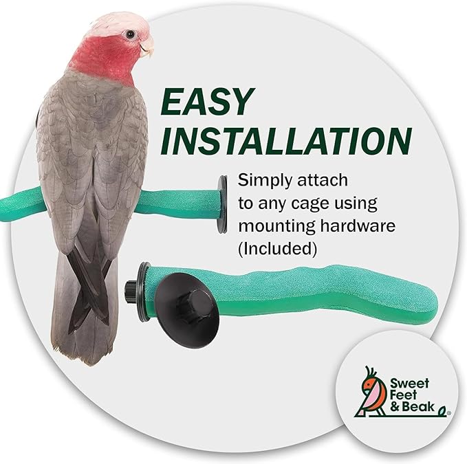Sweet Feet and Beak Safety Pumice Perch - Trims Nails and Beak - Promotes Healthy Feet - Safe Non-Toxic Bird Supplies for Bird Cages - Small 8"