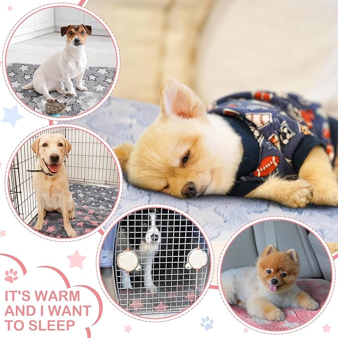 4 Pcs Waterproof Guinea Pig Blankets Washable Small Animal Fleece Bedding Absorbent Guinea Pig Cage Liners Reusable Pet Pee Pad Sleep Mat Pad Cover for Hamster Ferret (Cute Star Pattern, 24 x 16 Inch)