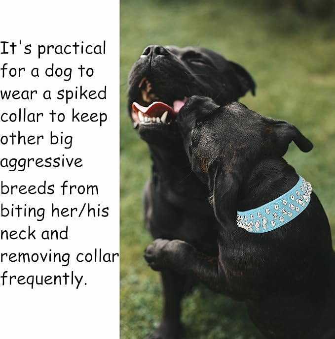 TEEMERRYCA Adjustable PU Leather Spiked Studded Dog Collars with a Squeak Ball Gift for Small Medium Large Pets Like Cats/Pit Bull/Bulldog/Pugs/Husky, Blue, XXL 19.7-22.4 inches
