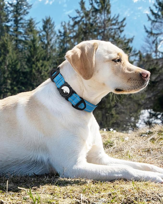 Joytale Airtag Dog Collar, Reflective Pet Collar with Waterproof AirTag Holder, Dual D-Rings, Soft Padded Adjustable for Small Dogs, SkyBlue, S