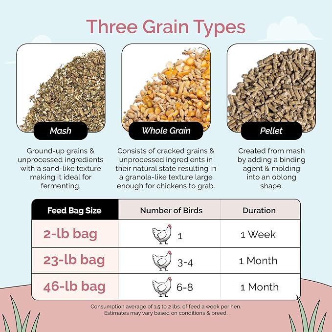 Organic Chicken Feed – Layer Mash, Non-GMO, USA Grown, 16% Protein, Corn-Free, Soy-Free, Non-Medicated Feed for Chickens, 46 lbs