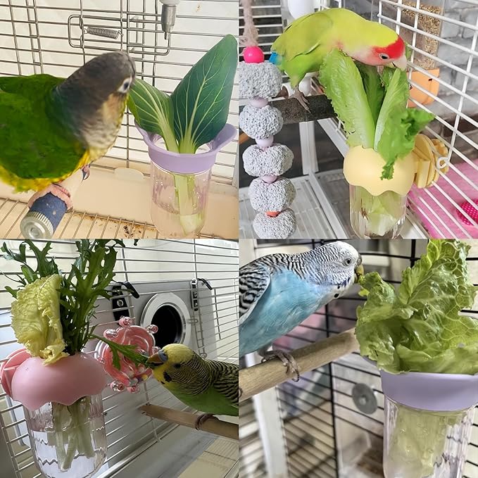 7 PCS Bird Cage Feeder for Vegetable Millet Holder Cage Accessories with Parrot Fruit Forks for Budgie Cockatiel Lovebirds Parrot (Pink)