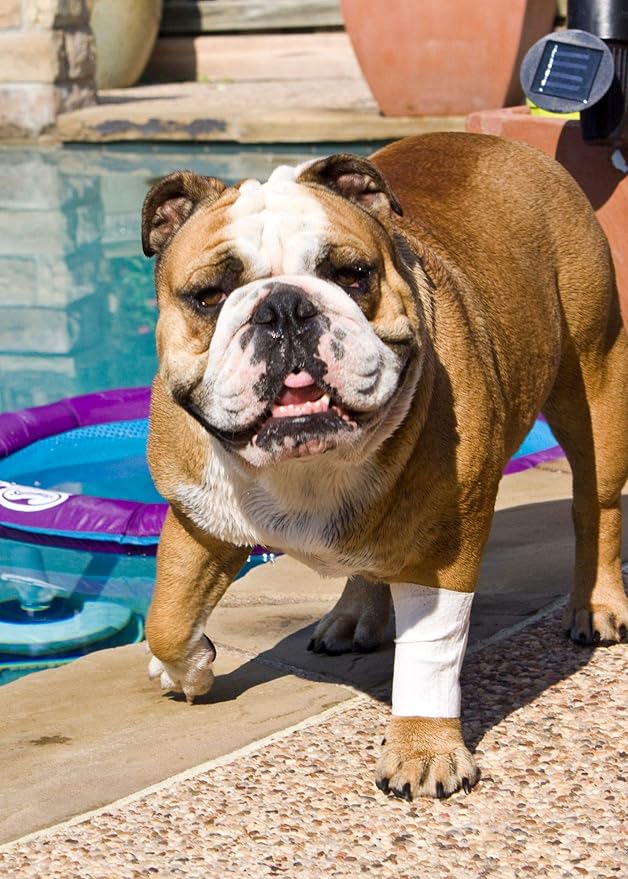 Protective Sleeve Tubular Cover - Bandages - for Dogs Cats and Other Pets First Aid Wound Care Comfortable Non-Adhesive Breathable & Water Resistant 18 Strips (yields 36-54 Covers)-(X-Large)