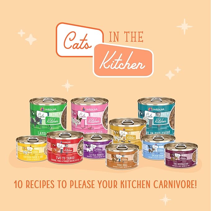 Weruva Cats in The Kitchen, Kitty Gone Wild Wet Cat Food, 10oz Can (Pack of 12)
