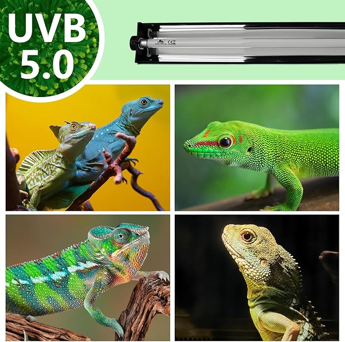 T5 UVB Lighting Combo Kit for Reptiles,24W Light Fixture with Desert 5.0 T5 UVB Light Bulbs Terrarium Hood Heat Lamp for Breaded Dragon,Turtle,Frog,Lizard,Tortoise,Gecko,Snake