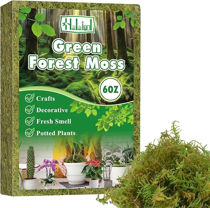 Halatool 6OZ Green Moss for Indoor Plants, 8QT Orchid Moss for Repotting, Forest Moss for Potted Plants, Real Moss for Succulent Carnivorous Houseplant Terrariums Garden Reptiles