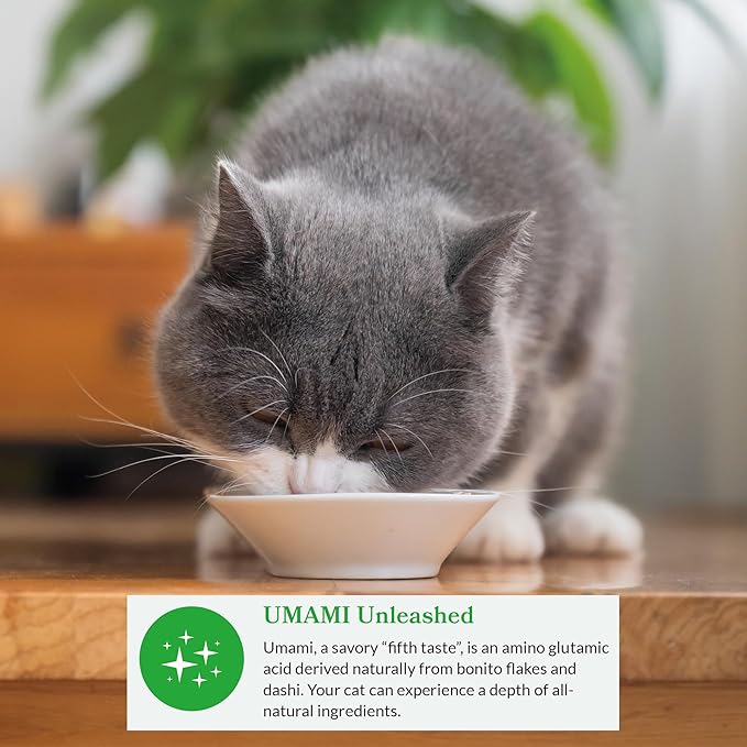 INABA Dashi Delights for Cats, 2.5 Ounce Cup, 6 Cups Total, Chicken with Scallop Recipe