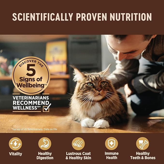 Wellness CORE+ Digestive Health Pate Adult Wet Cat Food, Natural, Protein-Rich, Grain Free, 3 Ounce, 12 Pack (Salmon & Whitefish Variety Pack)