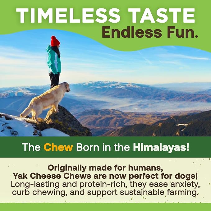 EcoKind Himalayan Gold Yak Cheese Dog Chew for Small Dogs, Healthy Dog Treats, Odorless, Long Lasting Dog Bones for Dogs, Rawhide Free, Made in The Himalayans, Small (Pack of 8)