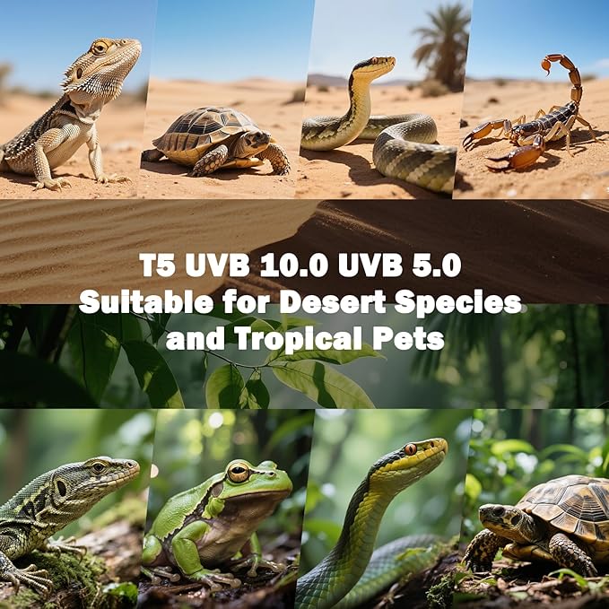 T5 10.0 UVB Reptile Light Bulb 8W, UVA UVB Light Bulb for Reptiles, 2 Pack Reptile UVB Lamp Tube 12 Inch, for Bearded Dragon, Lizards, Chameleons