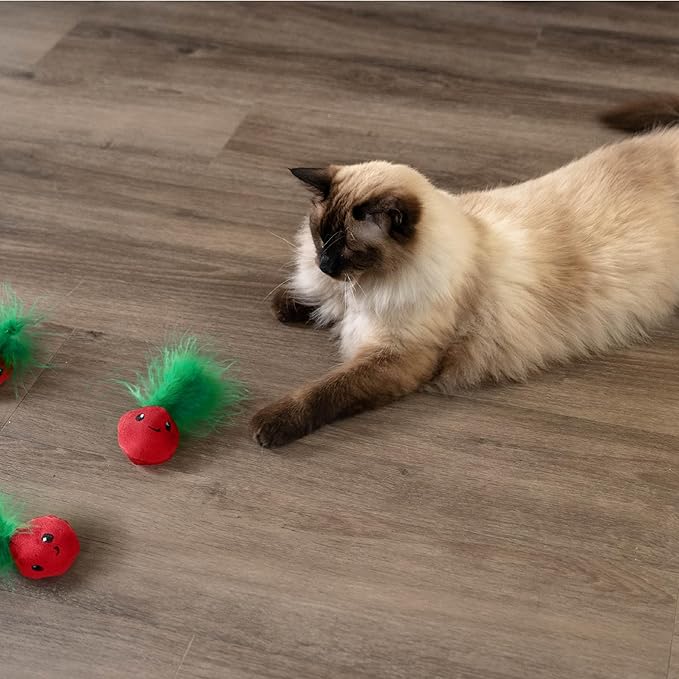 Catstages Strawbabies 3-Pack Catnip Cat Toys for Dental Health, Feather & Crinkle Teething Toys for Kittens and Indoor Cats, Interactive Play, Pink