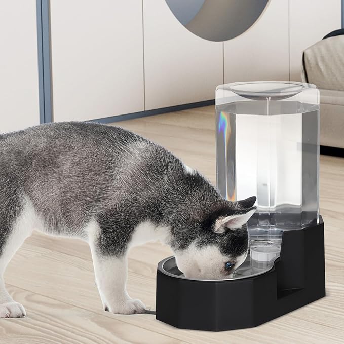 Sfozstra Dog Water Bowl Dispenser: 6L Large Black Gravity Stainless Steel Bowl - Without Filter - Pet Feeder for Pets Indoor/Outdoor Use by Owners