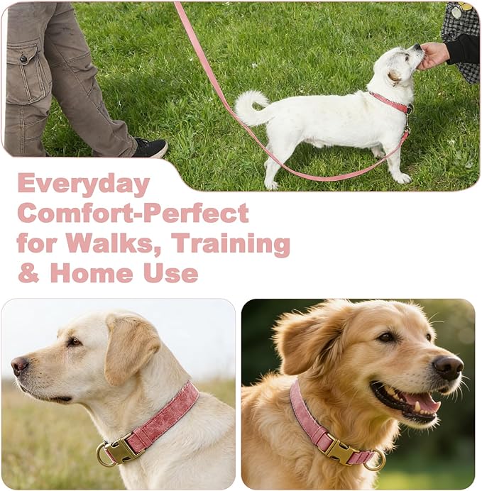 Genuine Leather Dog Collar - Adjustable Pet Collar with Quick Release Metal Buckle, Soft Skin Friendly Real Leather Collar for Small, Medium, Large Dogs (Pink Collar + Rope, L：Fit 15-23" Neck)