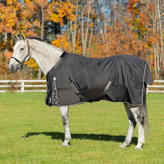 Equinavia Norse Lightweight 100g Fill Horse Rain Blanket | Waterproof Turnout Sheet - Black - 66 in - Black - 84 in