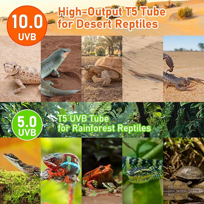 T5 10.0 UVB Reptile Light Bulbs 8W, UVA UVB HO Light Bar Bulbs 12 Inch for Reptiles,Bearded Dragon, Leopard Gecko,Tortoise,Reptile & Amphibian Replacement Tube Lamp 2 Pack