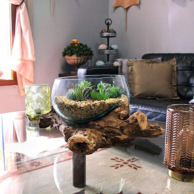 Things2Die4 Blown Melted Glass Decorative Bowl Mini Terrarium On Teak Driftwood Base,Brown