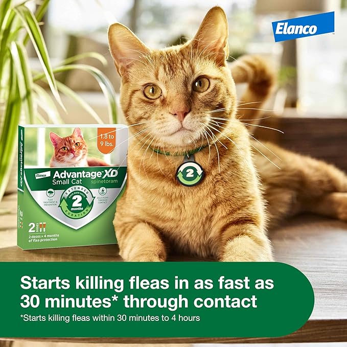Advantage XD Small Cat Flea Prevention & Treatment For Cats 1.8-9lbs. | 2-Topical Doses, 2-Months of Protection Per Dose