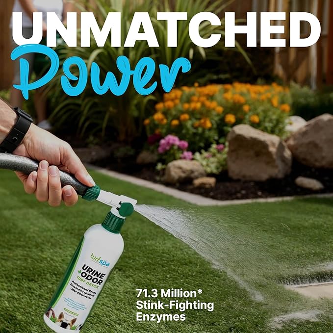 Urine & Odor Turf Detox: 2- Pack of Mango 32 oz Professional Enzyme Cleaner & Odor Eliminator for Artificial Grass, Turf, Concrete, Patio & Kennels, Pet Urine Enzymatic Cleaner for Dogs & Cats