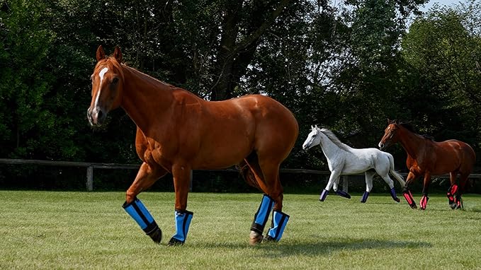 Warrior Fly Boots for Horses - Breathable Mesh Horse Boots for Fly Protection & Leg Comfort - Set of 4 (Trojan Warrior, Red)