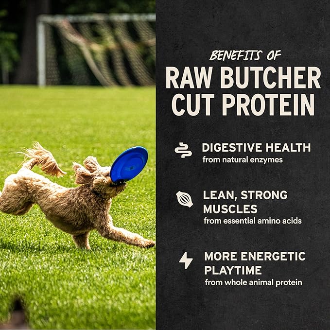 Vital Essentials Single Ingredient Chicken Breast Dog Treats, 10 oz | Freeze-Dried Raw | Premium Quality High Protein Training Treats | Grain Free, Gluten Free, Filler Free