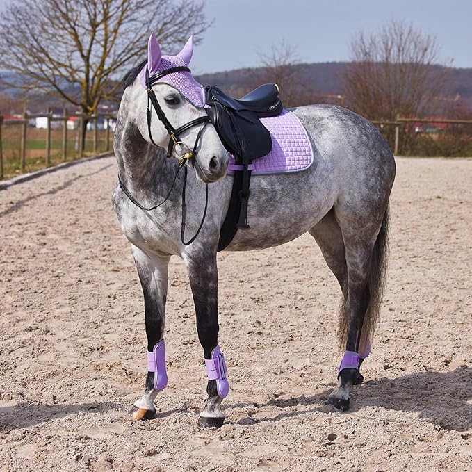HORZE Adepto Open Front Tendon Boots | Durable Shell with Neoprene Lining - Languid Lavender Purple - Horse