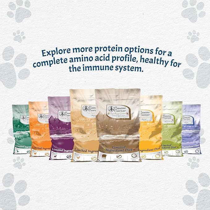 Canine Caviar - Open Meadow: Lamb & Pearl Millet Alkaline Dry Dog Food, Limited Ingredients, Gluten-Free, Based on Science & Research, Veterinary Alternative Diet (22 Pound Bag)