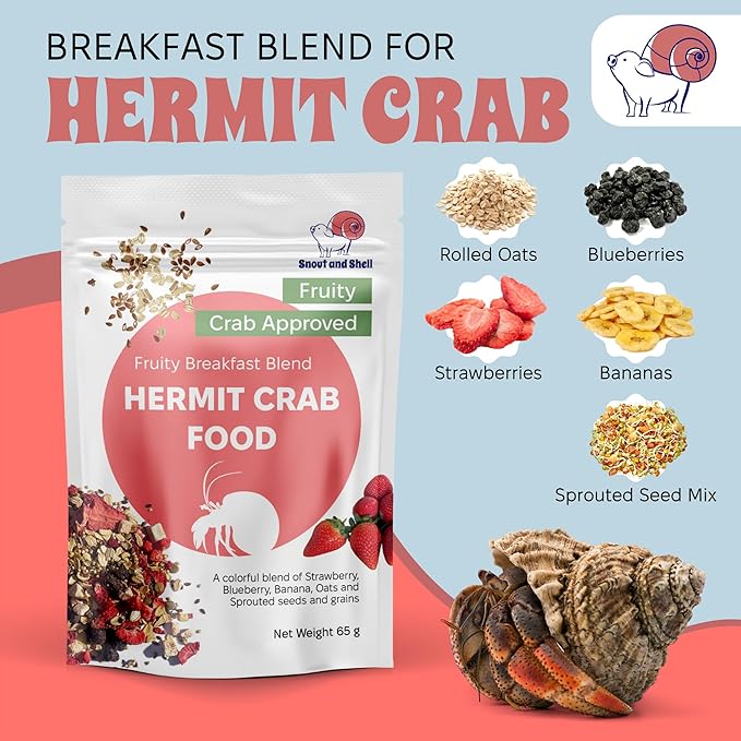 Snout and Shell Hermit Crab Food Bundle – Fruity Breakfast Blend, Crabby Bug Blend & Greensand – Organic, High Protein, Natural Minerals – Complete Nutrition for Healthy Shell Growth & Vitality