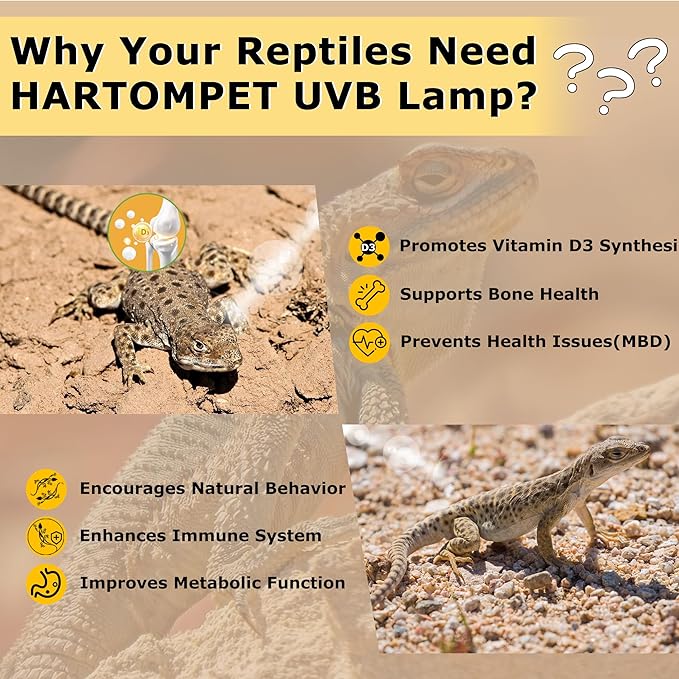UVB 10.0 Reptile Light 26W, Compact Coil Desert Bulb for Bearded Dragons, Lizards, Snakes, Geckos, Amphibians, UVA UVB Lamp for Pet Terrarium & Reptile Habitat Tank