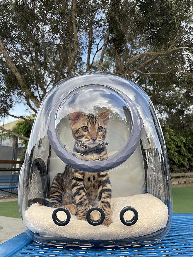 Cat Backpack Carrier, Bubble Backpack for Cat Kitten Small Puppy and Bunny, Space Capsule Bubble Cat Backpack Carrier, Airline Approved Waterproof Yellow Pet Backpack for Small Dog