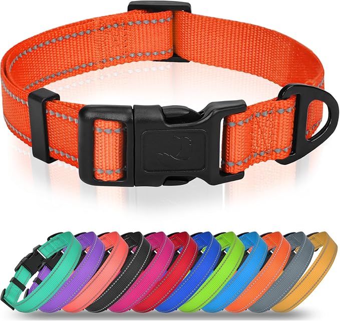 Joytale Reflective Dog Collar, Adjustable Nylon Pet Collar with Quick-Release Buckle for Medium Dogs, Orange, M