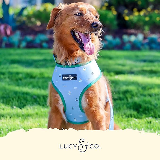 Lucy & Co. Set Sail Reversible Harness, Walking Halter - Best Designer Pet Harnesses for Medium Dogs - Padded Adjustable Vest for Easy Walking, Medium, Blue & White Stripes & Sailboats