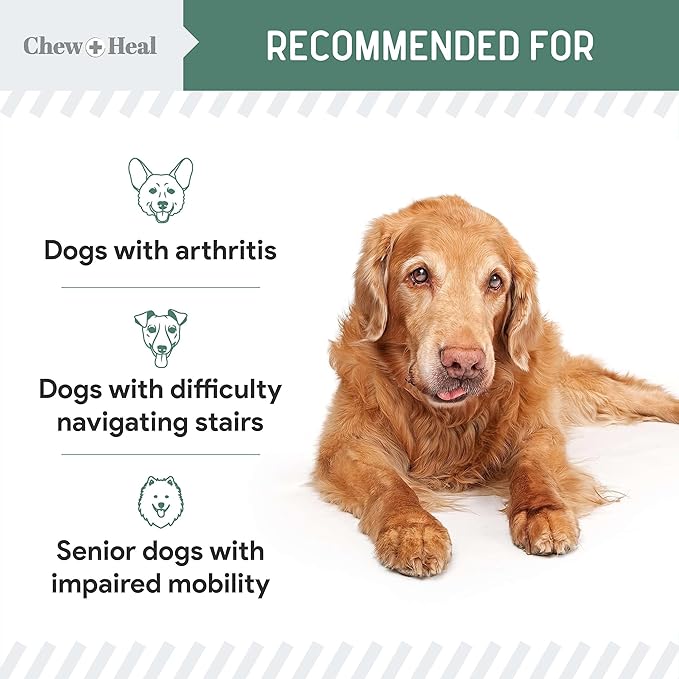 Glucosamine for Dogs Hip and Joint Supplement - 120 Senior Dogs Mobility Soft Chews - Made with Glucosamine, MSM, Chondroitin, Green Lipped Mussels and More - Made in The USA