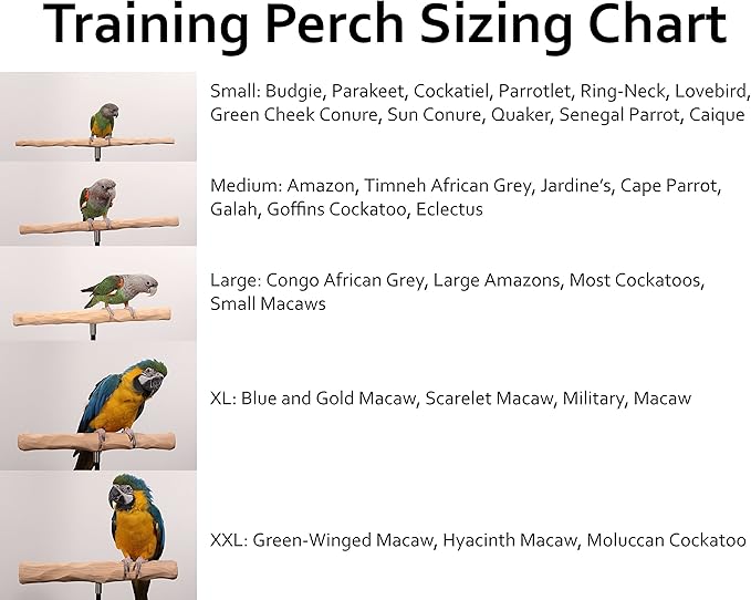 Parrot Training Perch Kit (T Perch, XL)