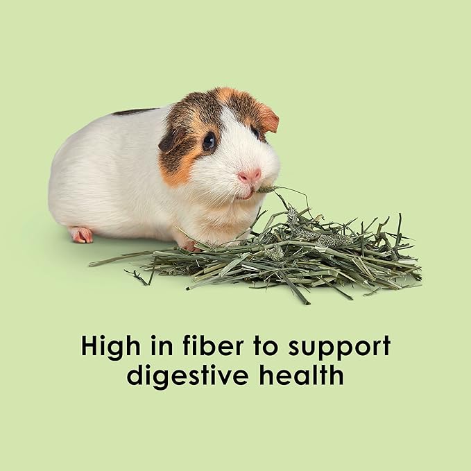 Kaytee Timothy Hay, High Fiber, Grown Specifically for Small Animals, Rabbits, Guinea Pigs, Chinchillas, Ideal Bulk Order for Small Pets, 24 pounds