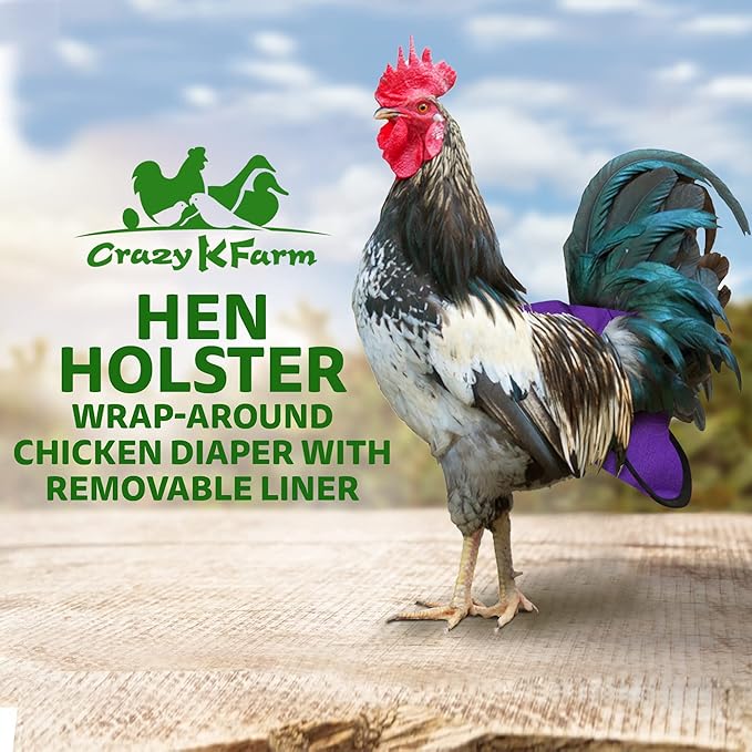 Hen Holster Wrap-Around Bird Diaper & Harness for Hens, Roosters, Ducks, Geese - with Removable Vinyl Liner, Adjustable Fit for Outdoor Adventures & Indoor Use - Easy to wear - XL, Purple