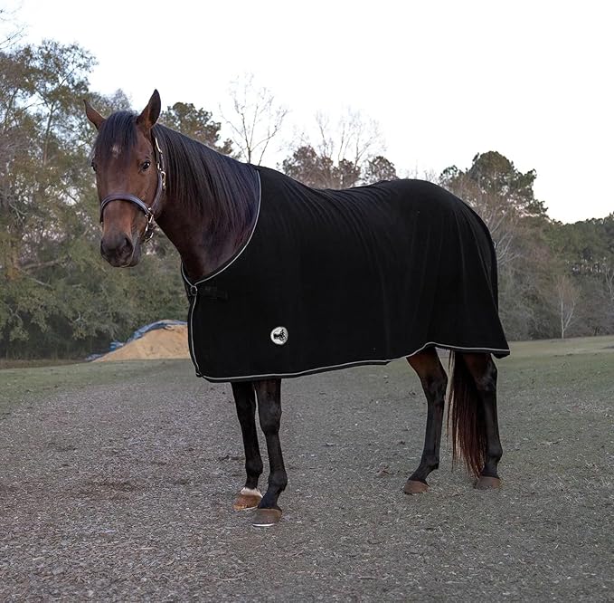 Jeffers Equine Elite Fleece Horse Cooler Blanket, 66 Inch – Soft, Adjustable Fit, Lightweight, Easy Care, Moisture Wicking Cooling Sheet with Surcingle for Post Exercise, Travel for Horses – Black