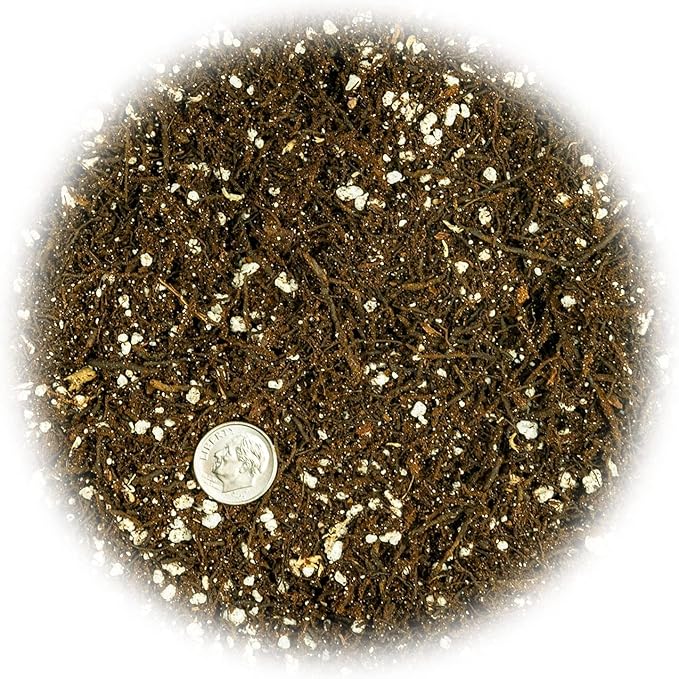 Gardenera Premium Organic Potting Soil, Succulent & Cactus Soil Mix, Fast Draining Pre-Mixed Blend - Horticultural Perlite (25%) + Peat Moss (75%) - Made in USA - 3 Quart