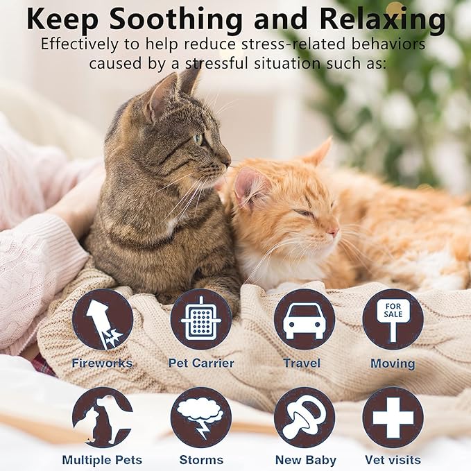 Wustentre 3 Pack Adjustable Anxiety Collar - Cat Calming Pheromones for Cats & Kittens, Stress Reliever - Relaxing Comfortable Collar (Violet)