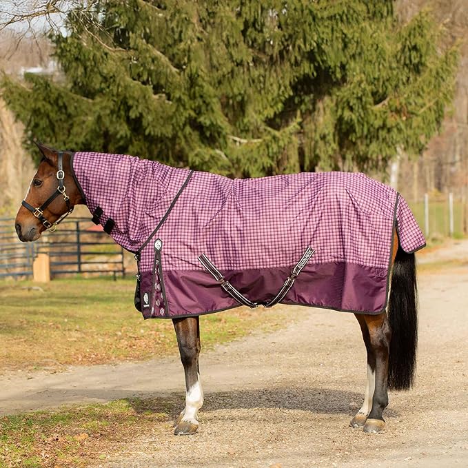 Equinavia Norse Lightweight 100g Fill Horse Rain Blanket | Waterproof Turnout Sheet - Black - 66 in - Plum Wine/Orchid Haze - 66 in
