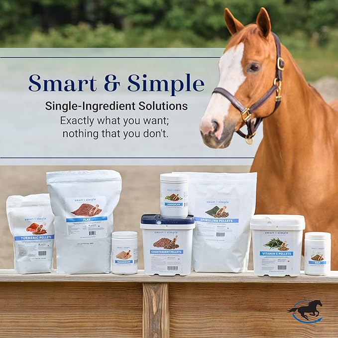 Smart & Simple MSM Pellets | Helps Manage Effects of Stress | Horse Supplement Aids in Cellular and Tissue Strengthening | 56 Servings | 2.4 lb Bucket