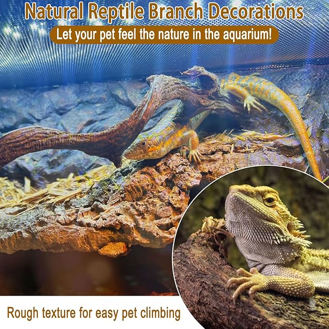 Reptile Decor Natural Forest Branch Terrarium Habitat Decoration Lizard Climbing Tree Branch for Bearded Dragon Gecko Snake Frog Chameleon Spider 3PCS