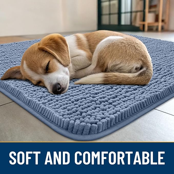 Smiry Dog Door Mat for Muddy Paws 48x30, Absorbs Moisture and Dirt Doormat, Non-Slip Washable Quick Dry Chenille Front Door Mat Indoor Entrance, Entryway Carpet for Inside Floor, Airy Blue