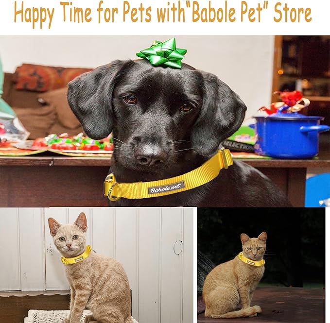 Nylon Dog Collar - Adjustable Yellow Soft Webbing Dog Collars for Small Medium Large Dogs Boy Girl Puppy Collar with Safety Metal Buckle XS