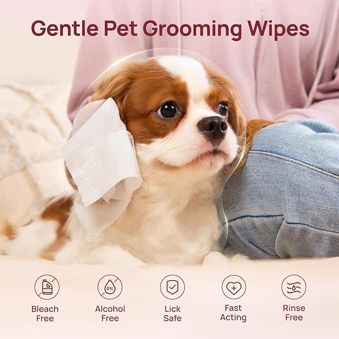 HICC PET Wipes for Dogs and Cats, Vet-Recommended Pets Cleaning Wipes, Deodorizing Hydrating, Nourishes Smoothes Fur, Fermented Coconut Oil Grooming Paws, Body and Butt, Thicken, Rose, 100 Count