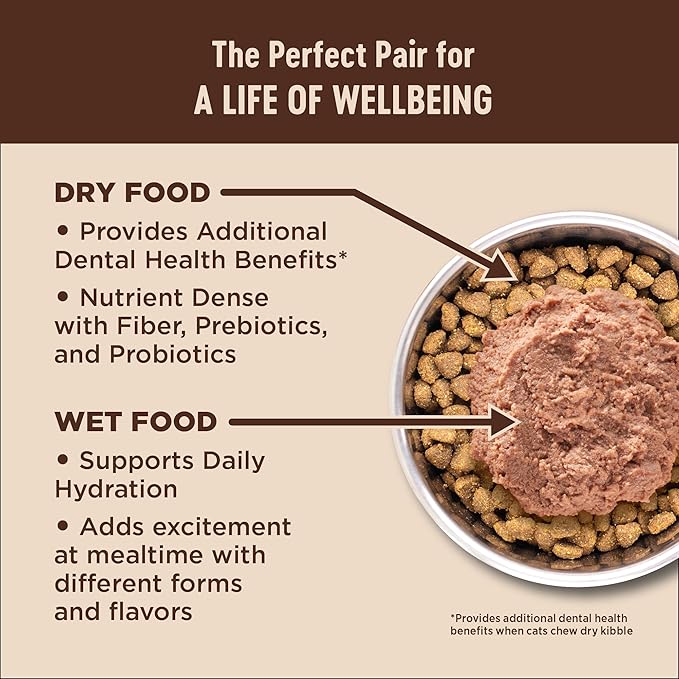 Wellness CORE+ Digestive Health Pate Adult Wet Cat Food, Natural, Protein-Rich, Grain Free, 3 Ounce, 12 Pack (Chicken & Turkey Variety Pack)