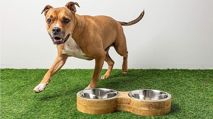 Luxury Elevated Dog Bowl Set - Mango Wood Stand with 2 Stainless Steel Food & Water Bowls - Raised Pet Feeder with Non-Slip Base, Modern Design for All Dog Sizes, Large 48oz