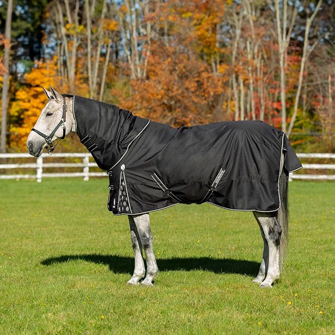 Equinavia Norse Lightweight 100g Fill Horse Rain Blanket | Waterproof Turnout Sheet - Black - 66 in - Black - 84 in