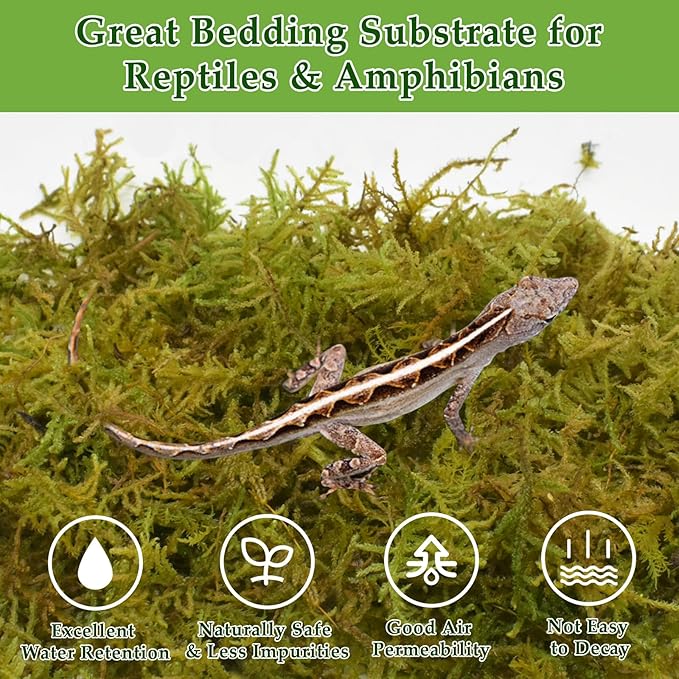 Halatool 5OZ Natural Sphagnum Moss for Reptiles- 8QT Green Moss for Terrarium Plants Long Fiber Reptile Moss for Leopard Gecko Snake Hamsters Tortoises Frogs Lizards Salamanders